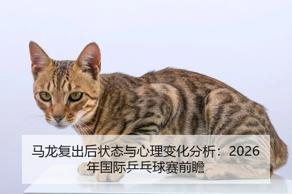 ma-long-fu-chu-hou-zhuang-tai-yu-xin-li-bian-hua-fen-xi-nian-guo-ji-ping-pang-qiu-sai-qian-zhan-2-129.jpg